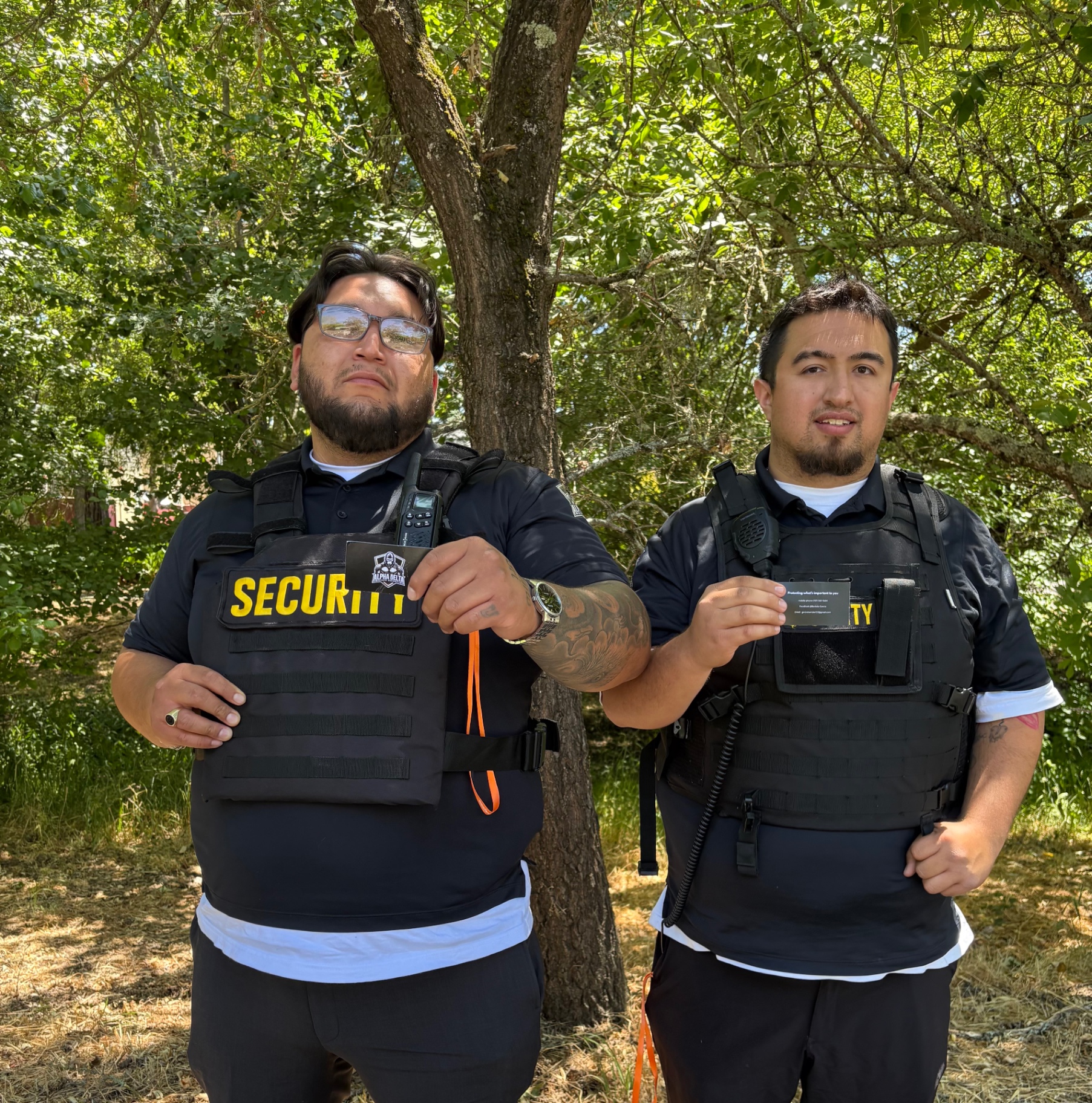 Seguridad Profesional